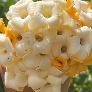 Meet your Posher, Siera